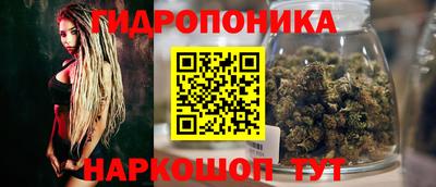 стаф Обь