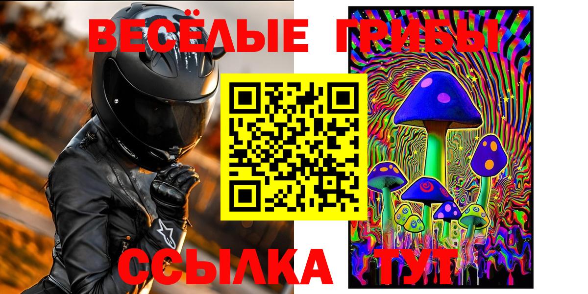 как найти   Вход с VPN  Сосновоборск  Галлюциногенные грибы MAGIC MUSHROOMS  Галлюциногенные грибы ЛСД 