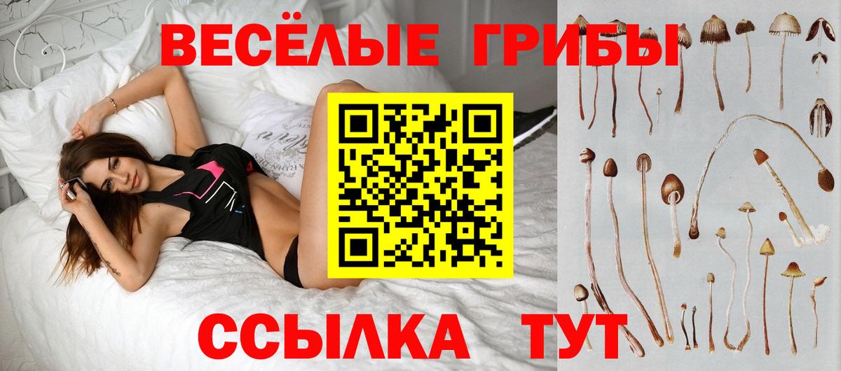 Псилоцибиновые грибы прущие грибы Сосновоборск